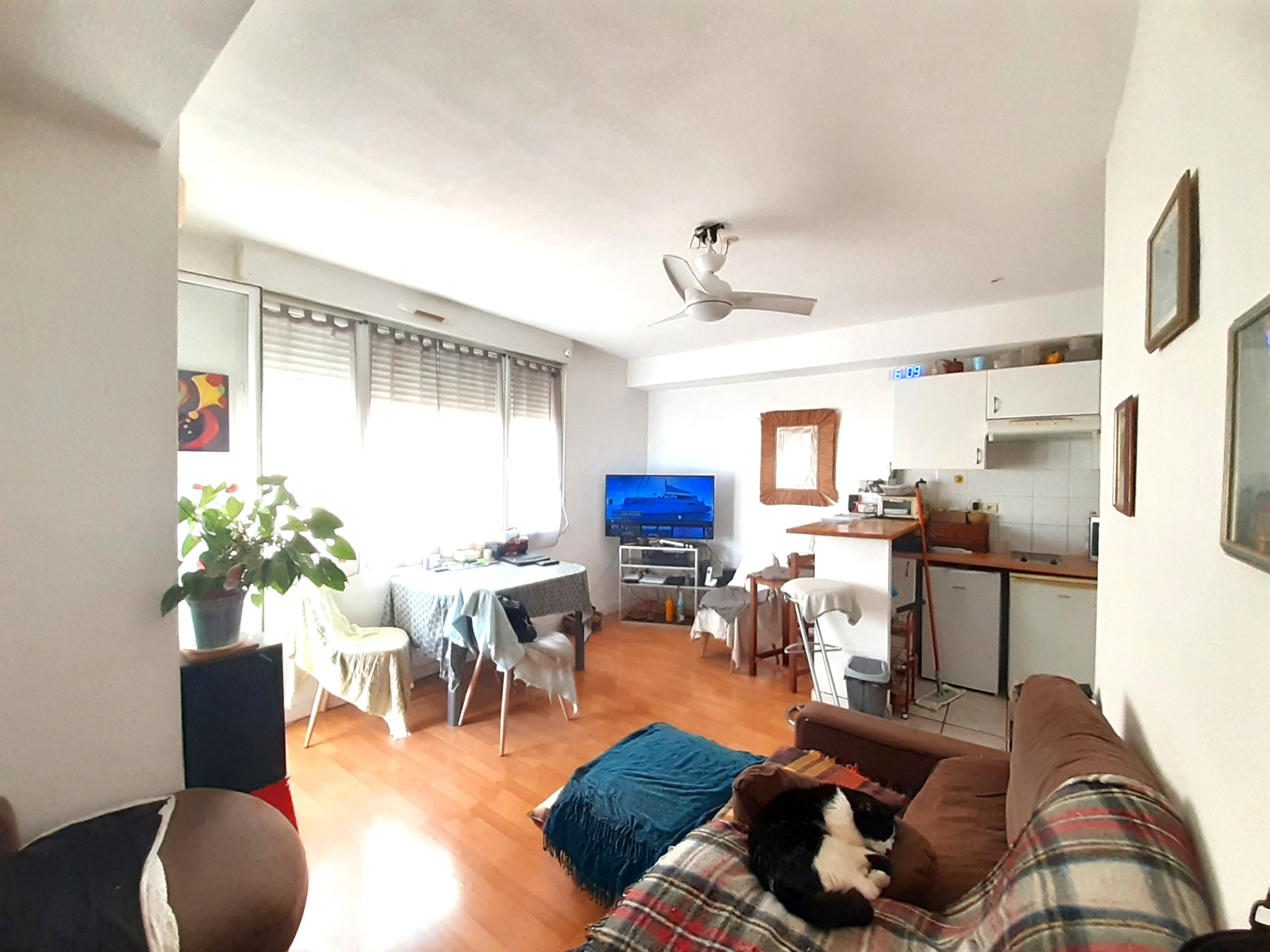 Photo 3