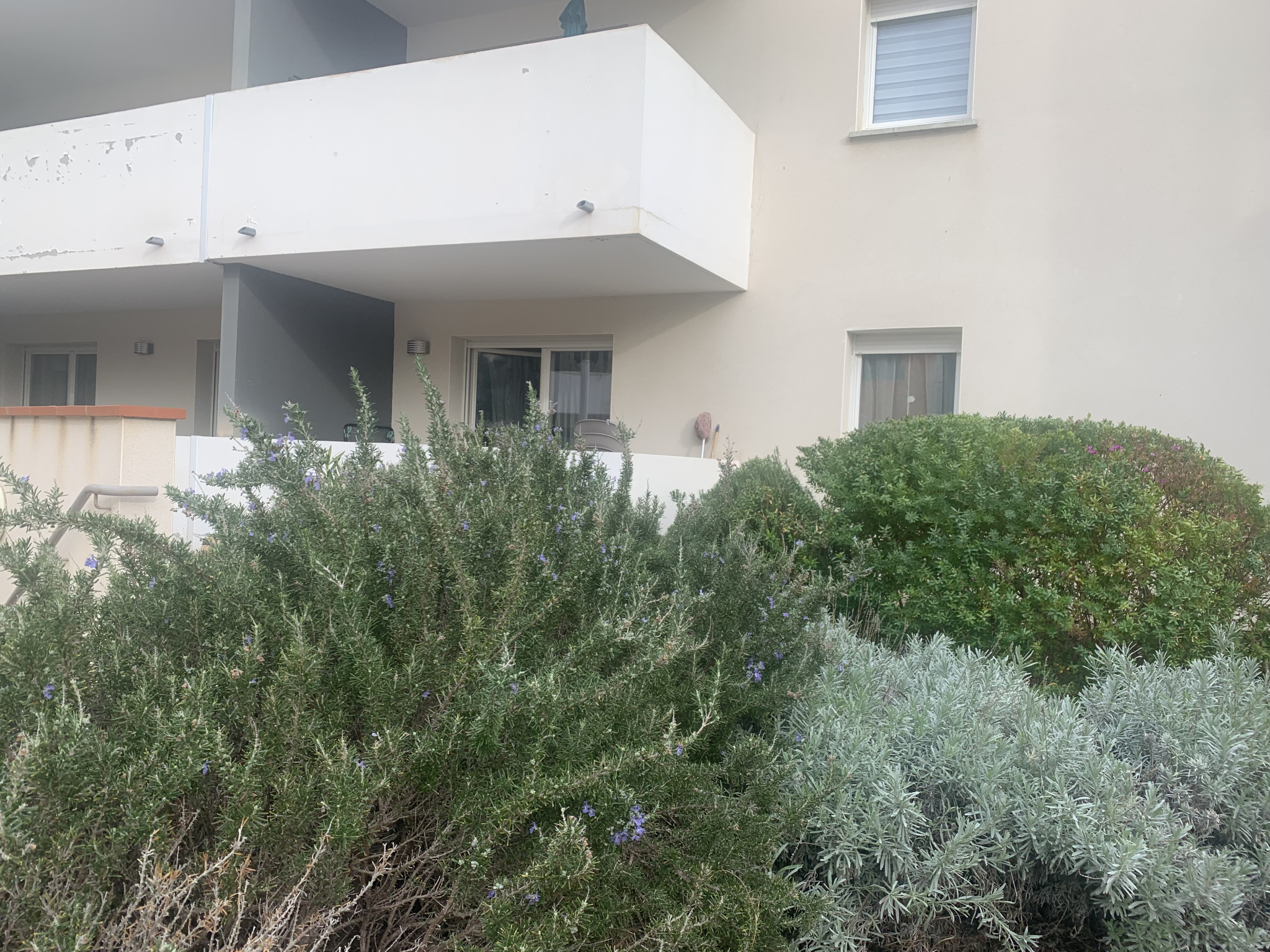Photo bien immobilier
