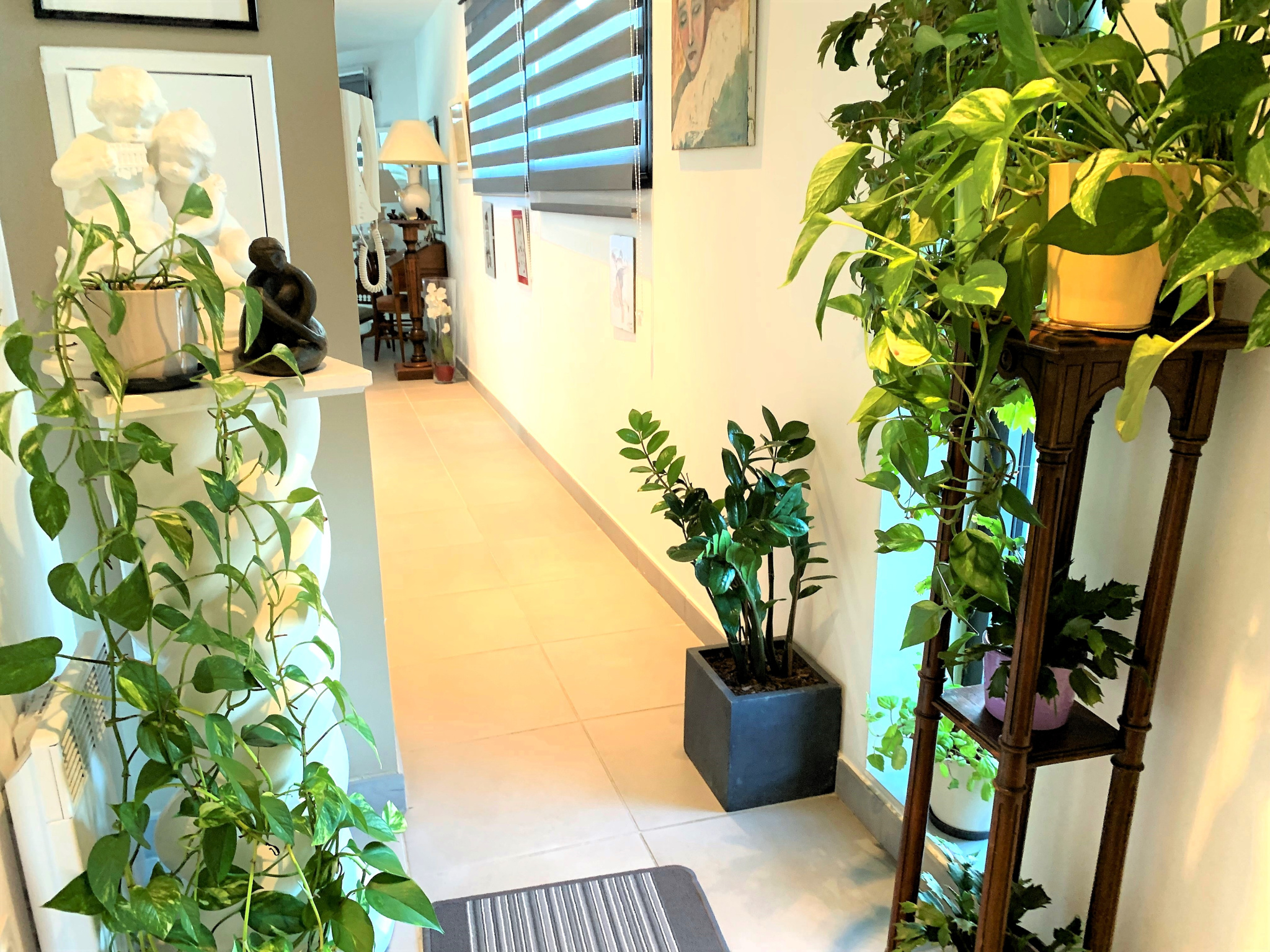 Photo bien immobilier